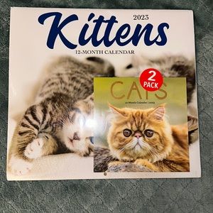 2023 monthly kitten calendar